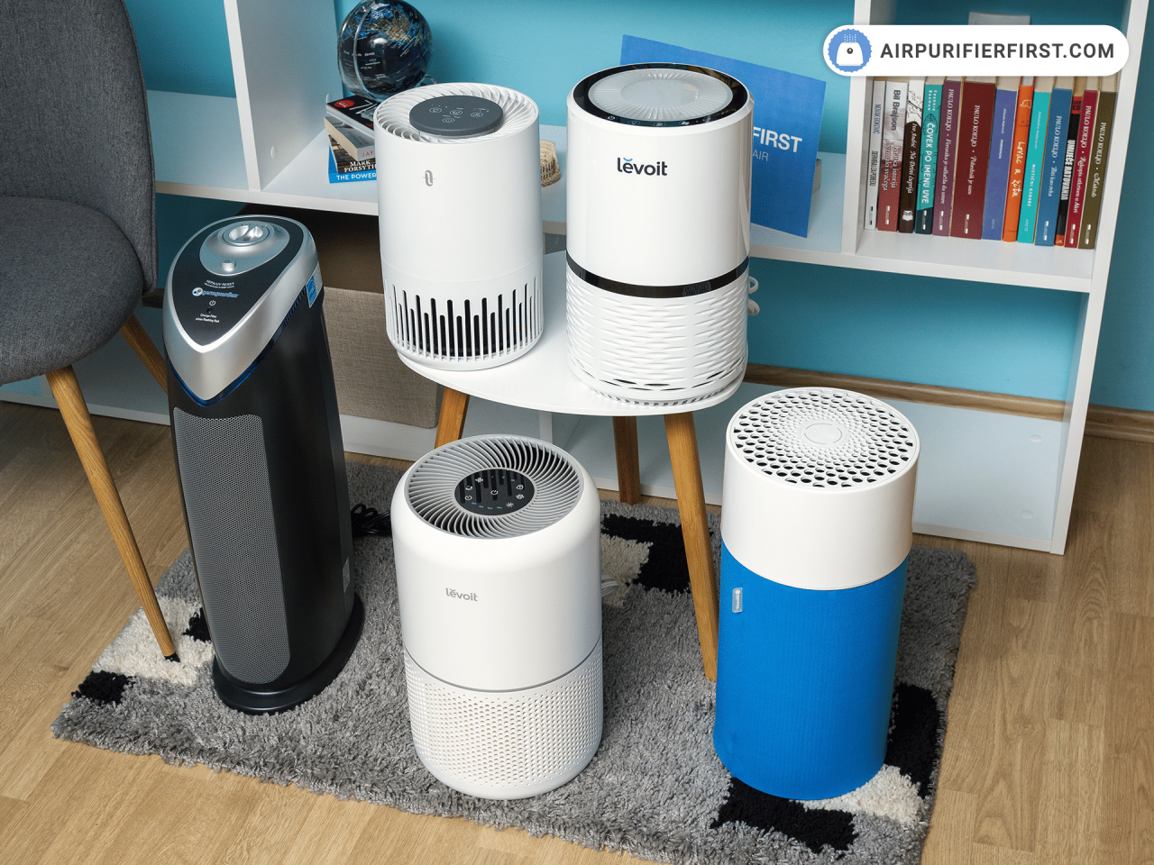 Air Purifier Face Off Budget vs Premium Models