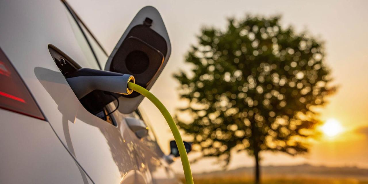 The Environmental Impact of Switching to EVs