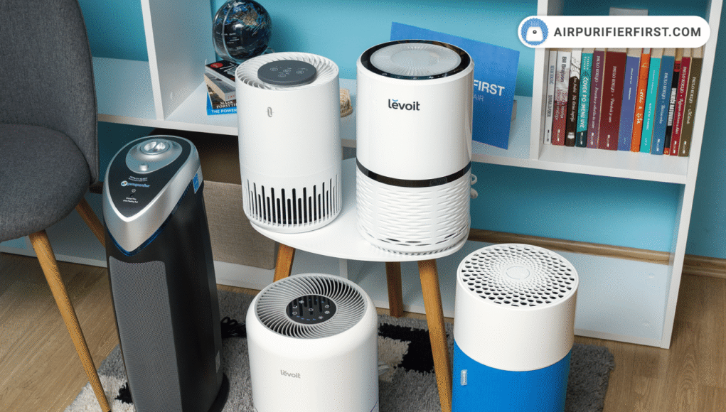 Air Purifier Face Off Budget vs Premium Models